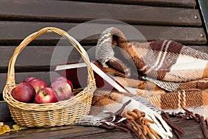 Basket of Apples on a Bench. Autumn Conception