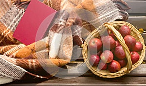 Basket of Apples on a Bench. Autumn Conception