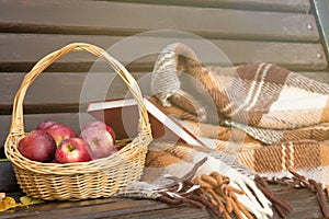 Basket of Apples on a Bench. Autumn Conception