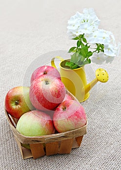 Basket of apples and bouquet phloxes