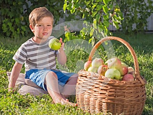 Basket of apples near kid. Baby eating apple outdoor.