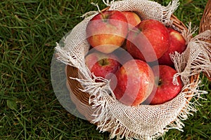 A basket of apples and pears