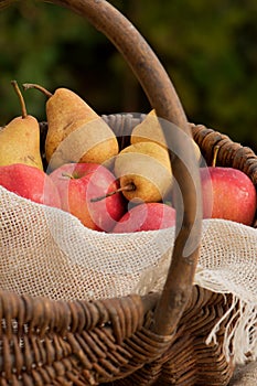 A basket of apples and pears 3
