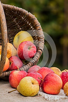 A basket of apples and pears 2