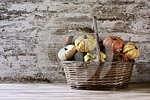 Basket with an assortment of different pumpkins