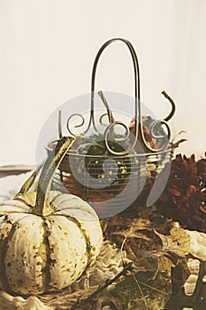 Basket of Autumn