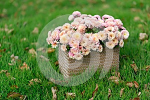 Basket with autumn flowers