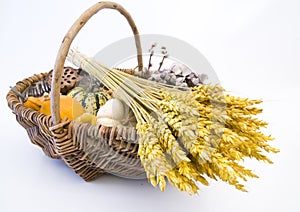 Basket with autumn fruit