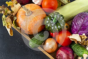 basket with autumn vegetables, pumpkin, zucchini, tomatoes, onion cucumber, cabbage on a black background,