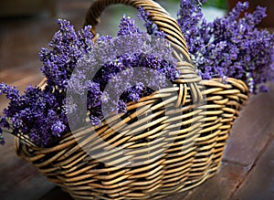 Basket of beautiful lavender stems