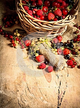 Basket with berries. On wooden table.