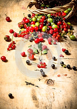 Basket with berries. On wooden table.