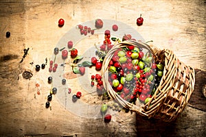 Basket with berries. On wooden table.