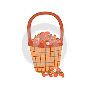 Basket berry illustration. Cute basket with strawberry isolated graphic element on white. Hand drawn summer organic