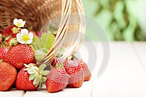 Basket with berry on table