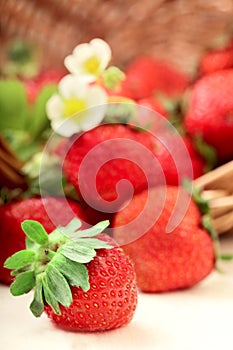 Basket with berry on table