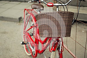 Basket on the bike handlebar