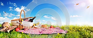 Picnic - Basket With Bread And Wine On Meadow