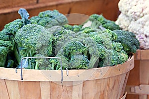 Basket of Broccoli