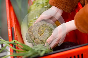 Basket with broccoli vegetables and herbs and a female hand.