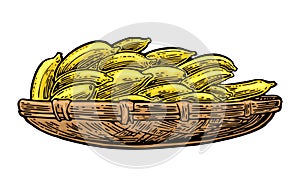 Basket with bunch banana on her head. Vector color vintage engraving