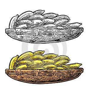 Basket with bunch banana on her head. Vector color vintage engraving