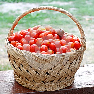 Basket with cherry tomatoes