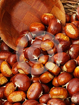 Basket of Chesnuts