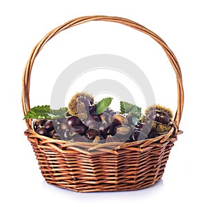 Basket with chestnuts isolated on a white background