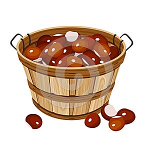 Basket with chestnuts. Vector illustration.