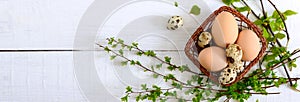 Basket with chicken and quail eggs, green young branches on a white wooden background. Top view. Easter spring background.