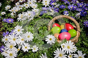 Basket with colored eggs on grass