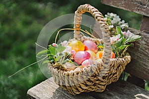 A basket of colorful Easter eggs. Hunting for Easter eggs