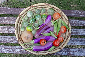 Basket of colorful vegetables including Thai and Japanese eggplant an onion tomatoes and okra - top view