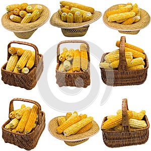 Basket with corn on a white background.