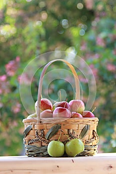 Basket of Crabapples