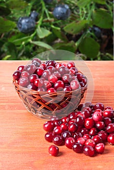 Basket with cranberries on a wooden background