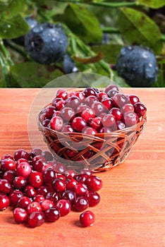 Basket with cranberries on a wooden background