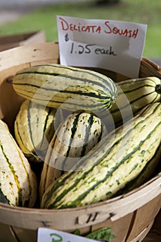 Basket of Delicata Squash for Sale