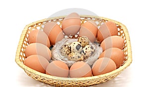 Basket with different eggs