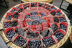 Basket with different fruits of the forest, such as blueberries, raspberries and redcurrants