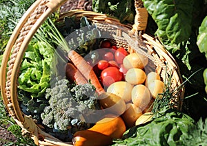 A basket with different kinds of vegetable