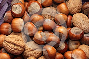 In the basket of different types of nuts in-shell hazelnuts and walnuts.