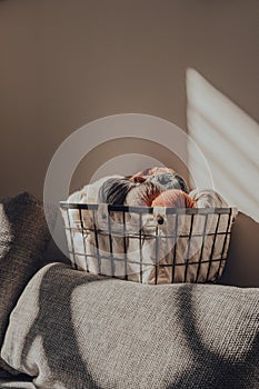 Basket of earth coloured skeins of yarn inside an apartment, sunlight, selective focus