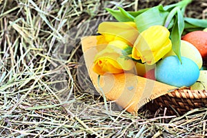 Basket of easter eggs and tulips on hay