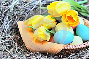 Basket of easter eggs and tulips on hay