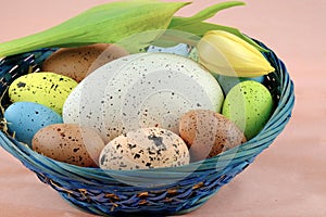 Basket with Easter quail eggs and yellow tulip on pale pink background.