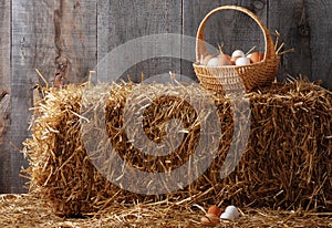 Basket of eggs on hay bale