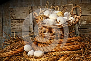 Basket of eggs on straw