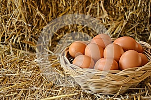 Basket of eggs on straw floor